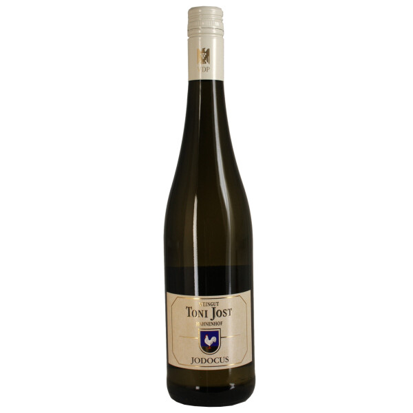 Toni Jost JODOCUS Riesling QbA trocken 2023 0,75 Ltr.