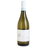 Cantine Birgi Tre Venti Grillo 2025 DOC 0,75 Ltr.