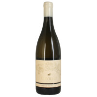 Cavalli Reserve White Blend 2025 0,75 Ltr.