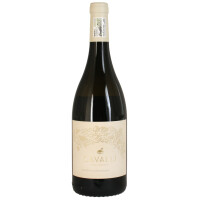 Cavalli Chardonnay Reserve 2025 0,75 Ltr.