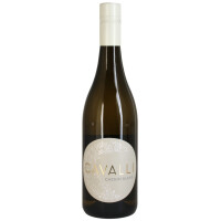 Cavalli Chenin Blanc Unoaked 2026 0,75 Ltr.